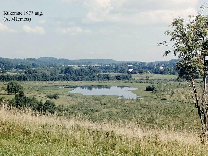 Maakond: Valgamaa Veekogu nimi: Kukemäe järv Pildistamise aeg: august 1977 Pildistaja: A. Mäemets Pildistamise koht: teadmata Asimuut: