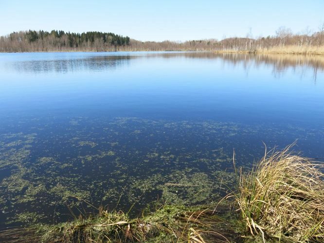 Maakond: Valgamaa Veekogu nimi: Kukemäe järv Pildistamise aeg: 6. mai 2013 Pildistaja: H. Timm Pildistamise koht: teadmata Asimuut: