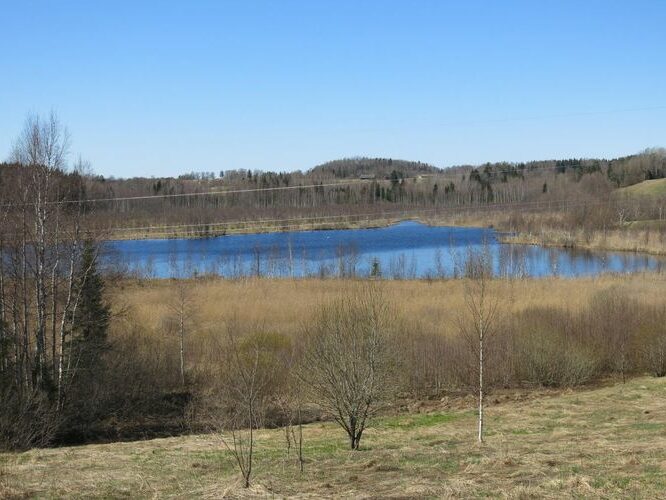 Maakond: Valgamaa Veekogu nimi: Kukemäe järv Pildistamise aeg: 6. mai 2013 Pildistaja: H. Timm Pildistamise koht: teadmata Asimuut: