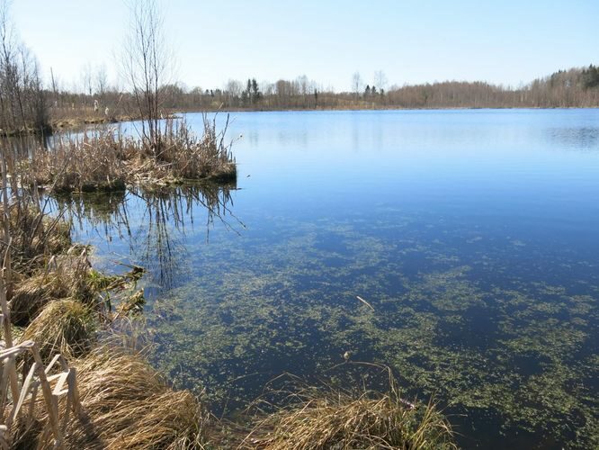 Maakond: Valgamaa Veekogu nimi: Kukemäe järv Pildistamise aeg: 6. mai 2013 Pildistaja: H. Timm Pildistamise koht: teadmata Asimuut: