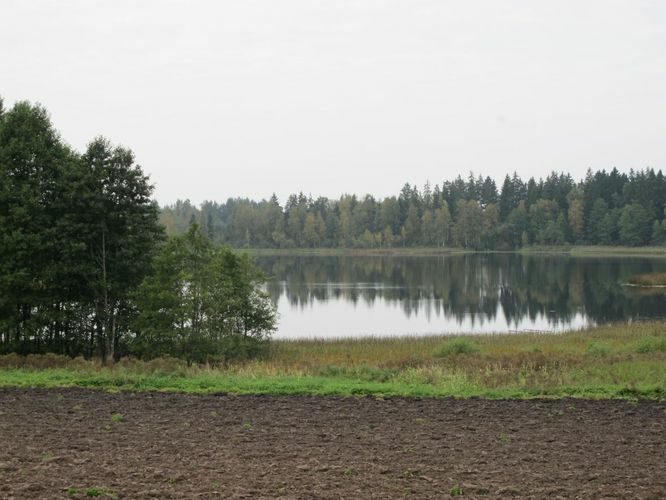 Maakond: Valgamaa Veekogu nimi: Kuritse järv Pildistamise aeg: 13. september 2010 Pildistaja: H. Timm Pildistamise koht: teadmata Asimuut: