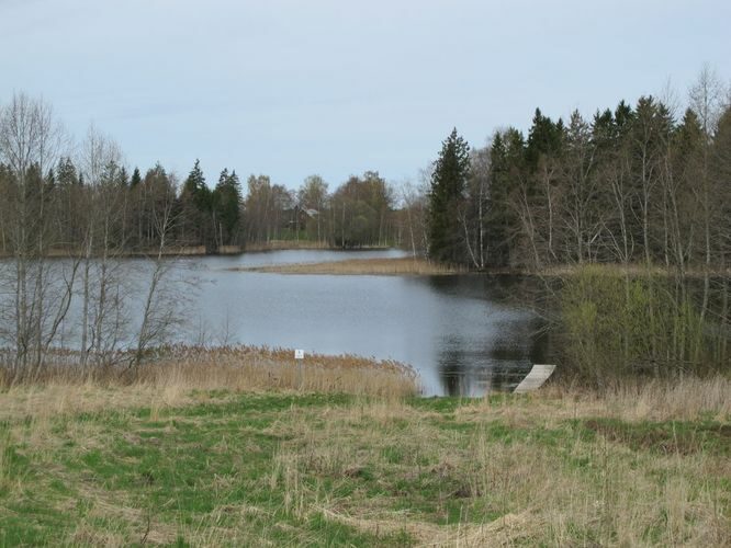 Maakond: Valgamaa Veekogu nimi: Kuritse järv Pildistamise aeg: 29. aprill 2012 Pildistaja: H. Timm Pildistamise koht: teadmata Asimuut: