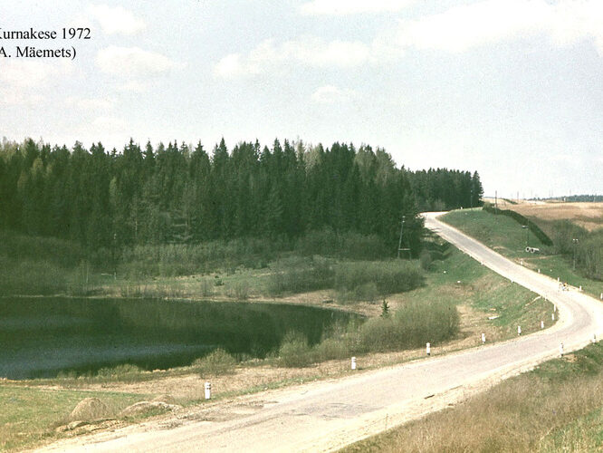 Maakond: Valgamaa Veekogu nimi: Kurnakese järv Pildistamise aeg: 1972 Pildistaja: A. Mäemets Pildistamise koht: NE kaldalt Asimuut: WNW