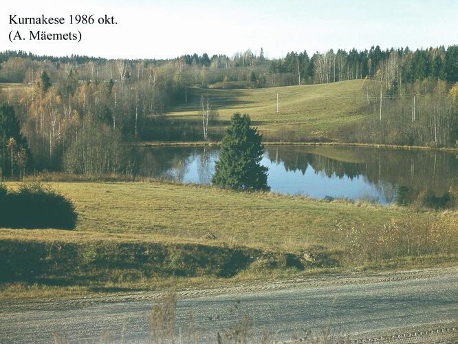 Maakond: Valgamaa Veekogu nimi: Kurnakese järv Pildistamise aeg: oktoober 1986 Pildistaja: A. Mäemets Pildistamise koht: E kaldalt Asimuut: W