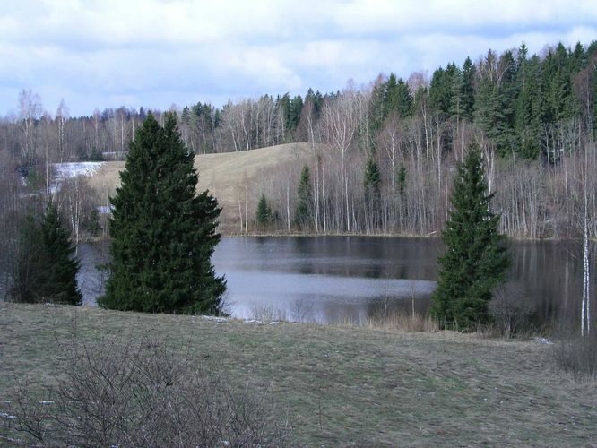 Maakond: Valgamaa Veekogu nimi: Kurnakese järv Pildistamise aeg: 24. aprill 2005 Pildistaja: H. Timm Pildistamise koht: teadmata Asimuut: