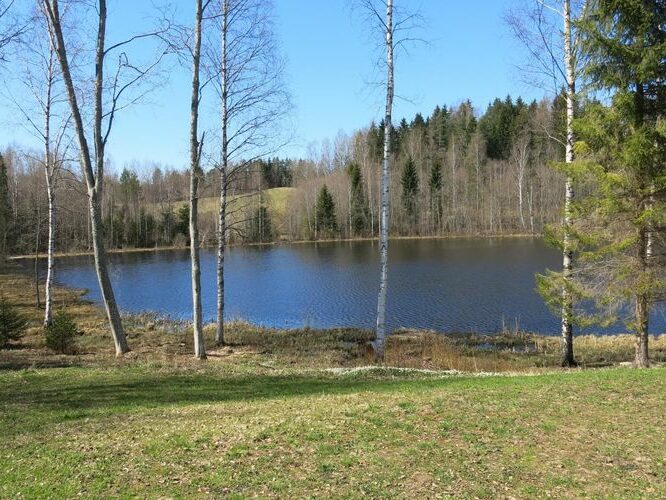 Maakond: Valgamaa Veekogu nimi: Kurnakese järv Pildistamise aeg: 6. mai 2013 Pildistaja: H. Timm Pildistamise koht: teadmata Asimuut: