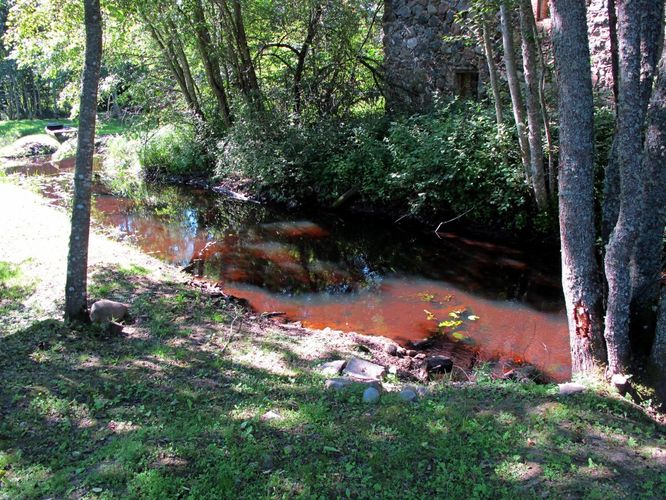 Maakond: Valgamaa Veekogu nimi: Laanemetsa jõgi Pildistamise aeg: august 2011 Pildistaja: H. Timm Pildistamise koht: allpool Aheru järve Asimuut: