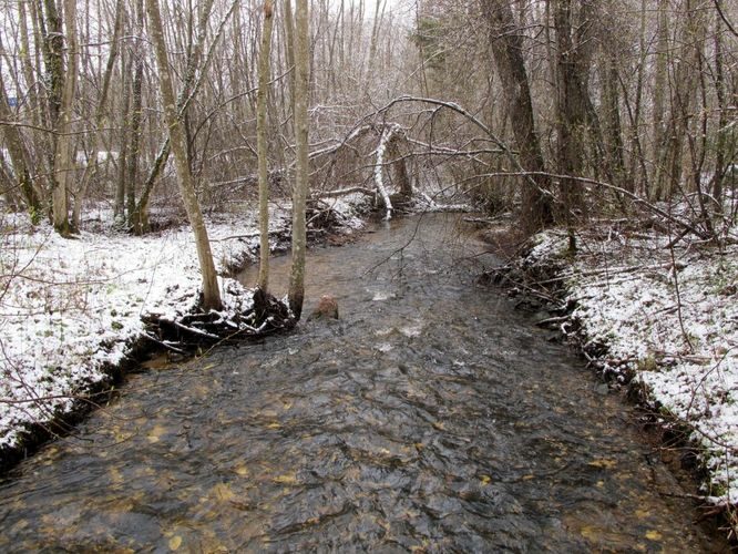 Maakond: Valgamaa Veekogu nimi: Laatre jõgi Pildistamise aeg: 24. aprill 2010 Pildistaja: H. Timm Pildistamise koht: Pringi teerist Asimuut: