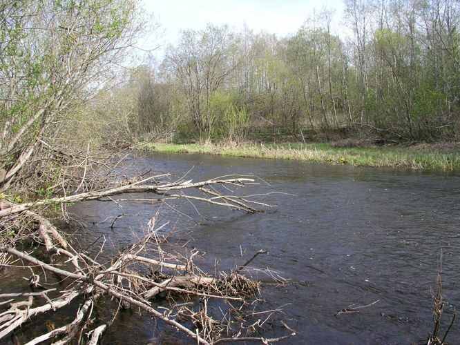 Maakond: Tartumaa Veekogu nimi: Laeva jõgi Pildistamise aeg: 7. mai 2007 Pildistaja: H. Timm Pildistamise koht: Valmaotsa Asimuut: