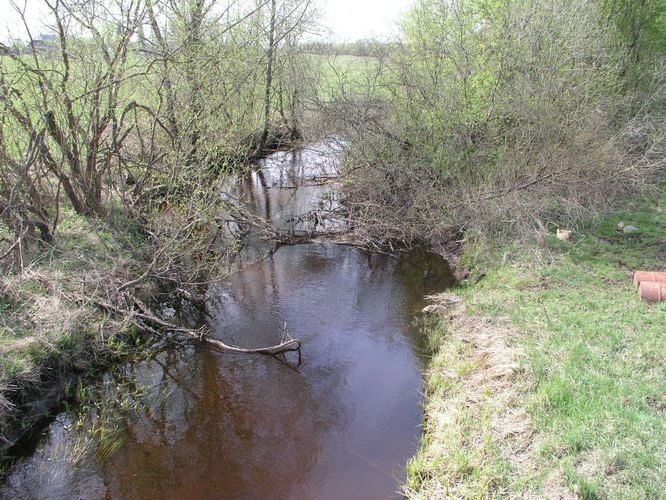 Maakond: Tartumaa Veekogu nimi: Laeva jõgi Pildistamise aeg: 7. mai 2007 Pildistaja: H. Timm Pildistamise koht: Pirusi Asimuut: