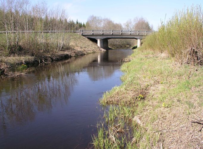 Maakond: Tartumaa Veekogu nimi: Laeva jõgi Pildistamise aeg: 7. mai 2007 Pildistaja: H. Timm Pildistamise koht: Kärevere Asimuut: