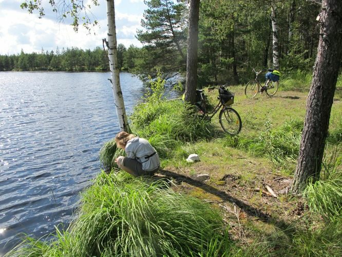 Maakond: Valgamaa Veekogu nimi: Lagesoo järv Pildistamise aeg: 17. juuli 2012 Pildistaja: H. Timm Pildistamise koht: teadmata Asimuut: