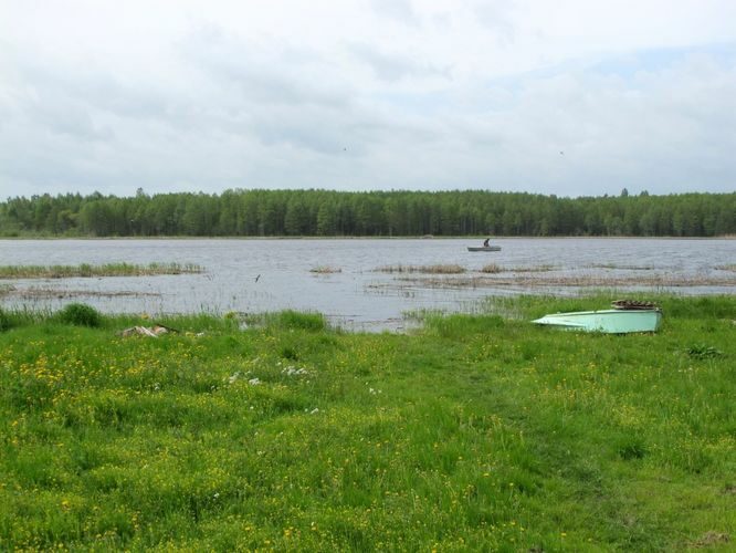 Maakond: Tartumaa Veekogu nimi: Lahepera järv Pildistamise aeg: 25. mai 2011 Pildistaja: H. Timm Pildistamise koht: teadmata Asimuut: