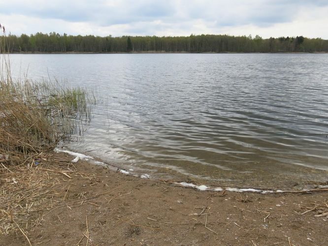 Maakond: Tartumaa Veekogu nimi: Lahepera järv Pildistamise aeg: 8. mai 2014 Pildistaja: H. Timm Pildistamise koht: teadmata Asimuut: