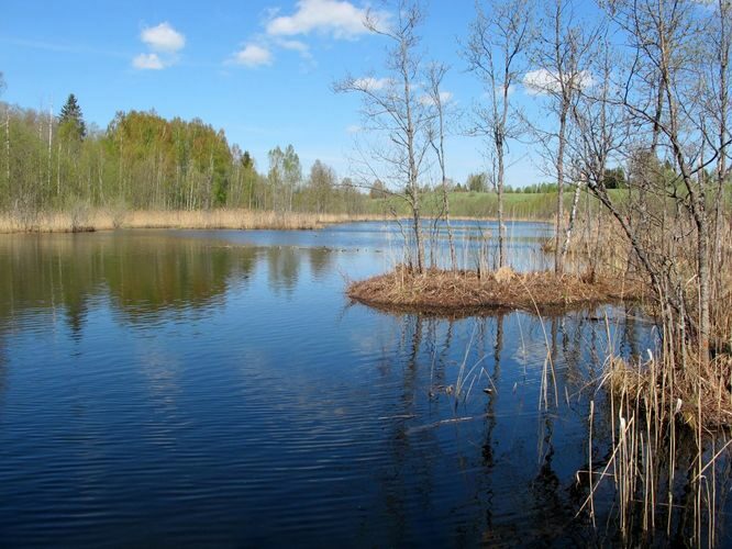 Maakond: Valgamaa Veekogu nimi: Lambahanna järv Pildistamise aeg: 10. mai 2012 Pildistaja: H. Timm Pildistamise koht: teadmata Asimuut: