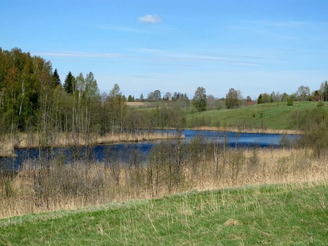 Maakond: Valgamaa Veekogu nimi: Lambahanna järv Pildistamise aeg: 10. mai 2012 Pildistaja: H. Timm Pildistamise koht: teadmata Asimuut: