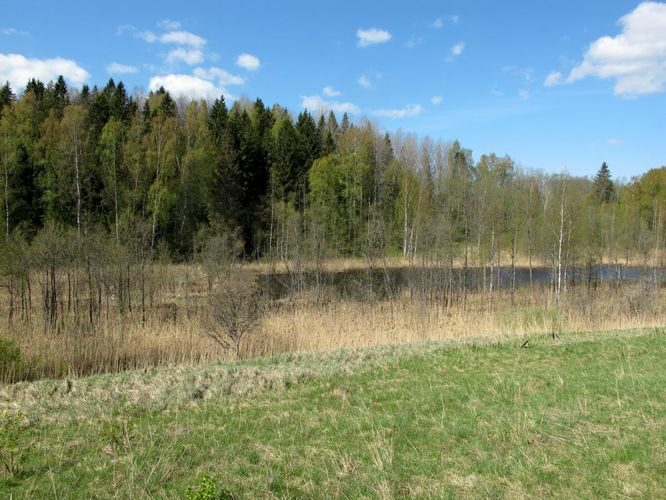 Maakond: Valgamaa Veekogu nimi: Lambahanna järv Pildistamise aeg: 10. mai 2012 Pildistaja: H. Timm Pildistamise koht: teadmata Asimuut: