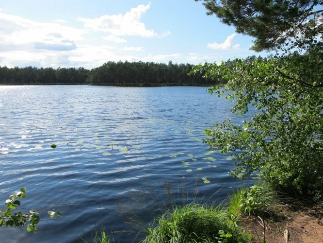 Maakond: Valgamaa Veekogu nimi: Lasa järv Pildistamise aeg: 17. juuli 2012 Pildistaja: H. Timm Pildistamise koht: teadmata Asimuut: