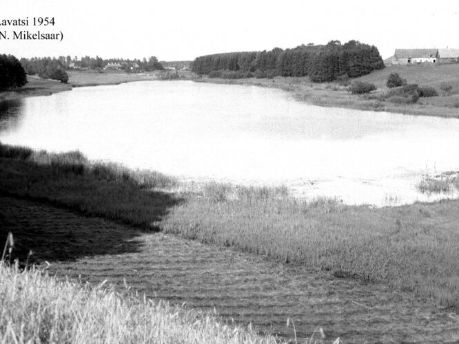 Maakond: Tartumaa Veekogu nimi: Lavatsi järv Pildistamise aeg: 1954 Pildistaja: N. Mikelsaar Pildistamise koht: teadmata Asimuut: