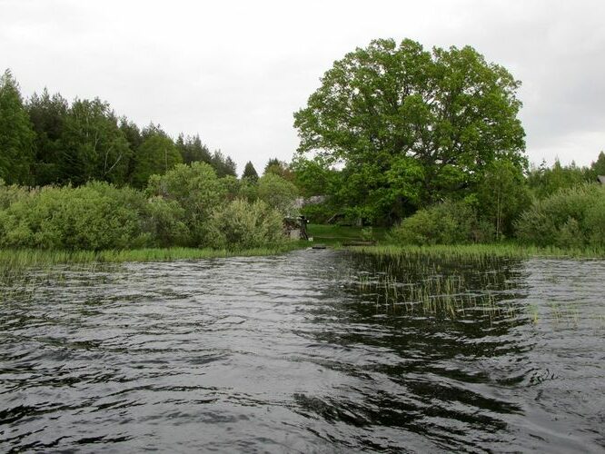 Maakond: Tartumaa Veekogu nimi: Leego järv Pildistamise aeg: 25. mai 2011 Pildistaja: H. Timm Pildistamise koht: teadmata Asimuut: