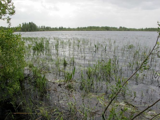 Maakond: Tartumaa Veekogu nimi: Leego järv Pildistamise aeg: 25. mai 2011 Pildistaja: H. Timm Pildistamise koht: teadmata Asimuut: