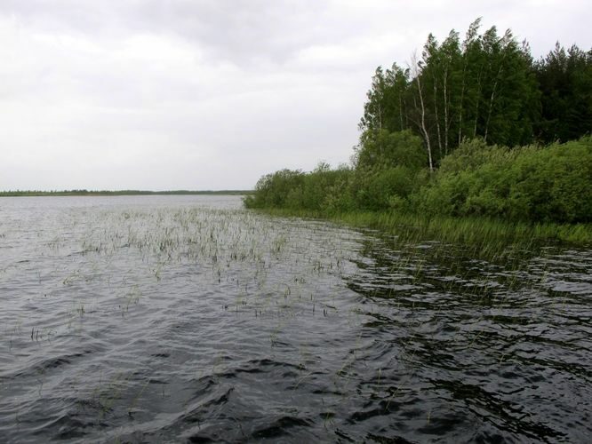 Maakond: Tartumaa Veekogu nimi: Leego järv Pildistamise aeg: 25. mai 2011 Pildistaja: H. Timm Pildistamise koht: teadmata Asimuut: