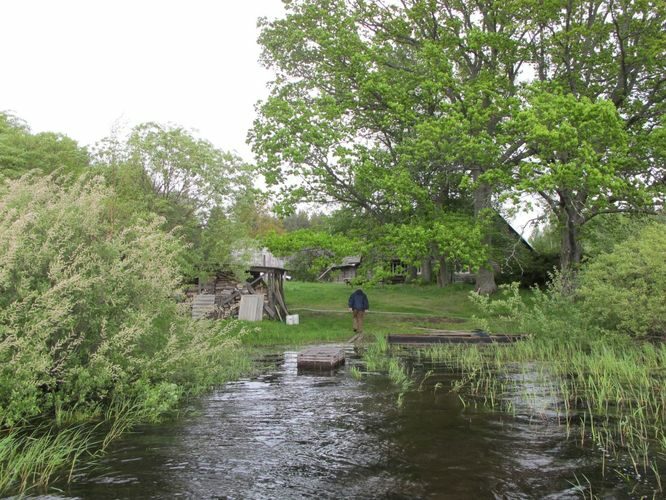 Maakond: Tartumaa Veekogu nimi: Leego järv Pildistamise aeg: 25. mai 2011 Pildistaja: H. Timm Pildistamise koht: teadmata Asimuut: