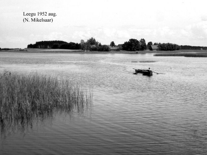 Maakond: Tartumaa Veekogu nimi: Leegu järv Pildistamise aeg: august 1952 Pildistaja: N. Mikelsaar Pildistamise koht: teadmata Asimuut: