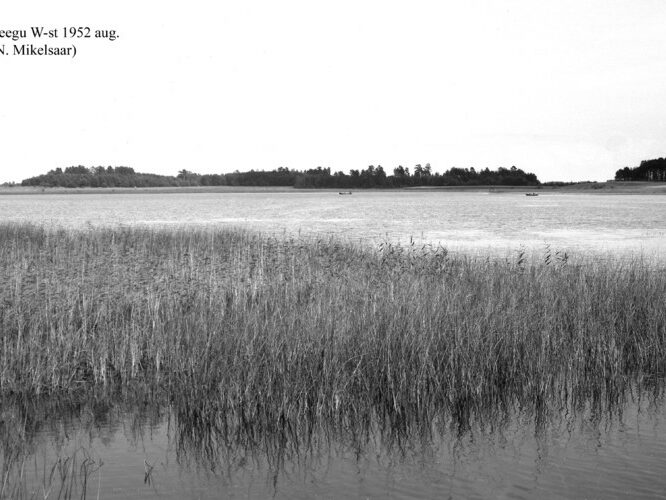 Maakond: Tartumaa Veekogu nimi: Leegu järv Pildistamise aeg: august 1952 Pildistaja: N. Mikelsaar Pildistamise koht: W kaldalt Asimuut: SE