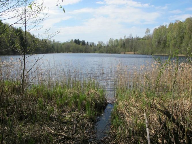 Maakond: Valgamaa Veekogu nimi: Liinujärv Pildistamise aeg: 10. mai 2012 Pildistaja: H. Timm Pildistamise koht: teadmata Asimuut: