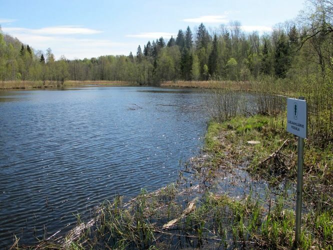 Maakond: Valgamaa Veekogu nimi: Lubjaahju Pildistamise aeg: 10. mai 2012 Pildistaja: H. Timm Pildistamise koht: teadmata Asimuut: