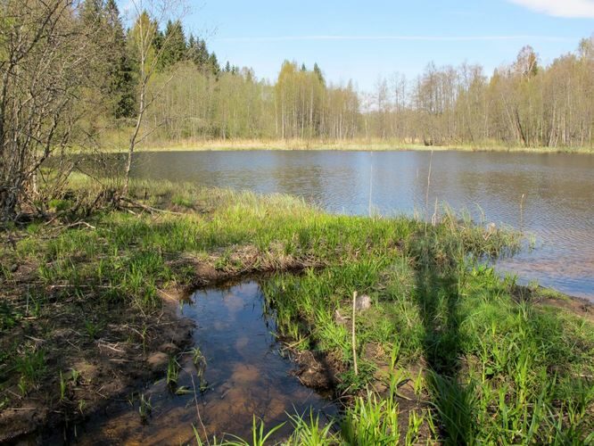 Maakond: Valgamaa Veekogu nimi: Lubjaahju Pildistamise aeg: 10. mai 2012 Pildistaja: H. Timm Pildistamise koht: teadmata Asimuut: