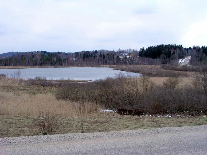 Maakond: Valgamaa Veekogu nimi: Lüüsjärv Pildistamise aeg: 24. aprill 2005 Pildistaja: H. Timm Pildistamise koht: teadmata Asimuut: