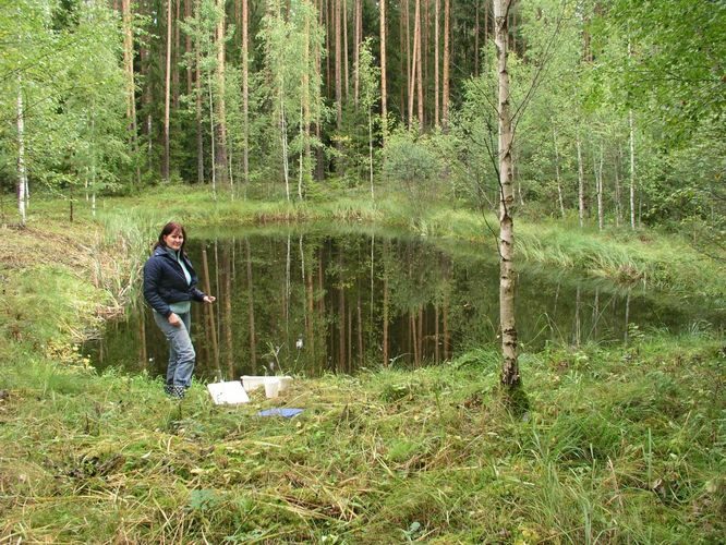 Maakond: Tartumaa Veekogu nimi: Maarja-Sautre tee tiik Pildistamise aeg: 5. september 2006 Pildistaja: H. Timm Pildistamise koht: teadmata Asimuut: