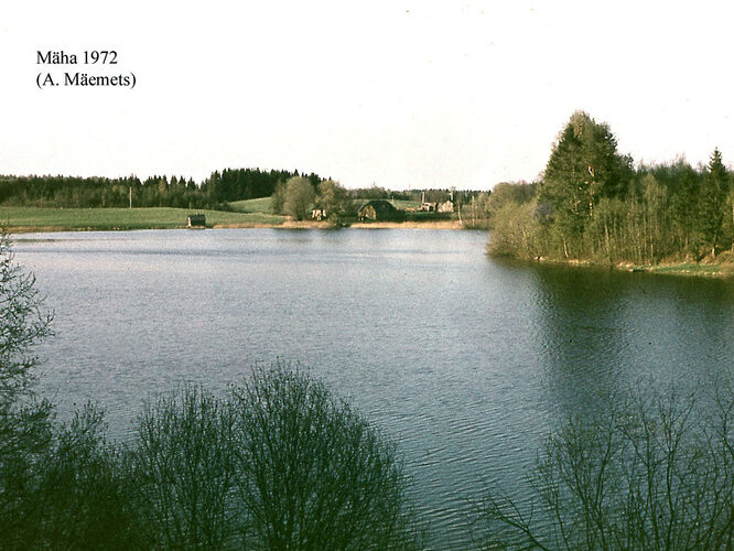 Maakond: Valgamaa Veekogu nimi: Mäha järv Pildistamise aeg: 1972 Pildistaja: A. Mäemets Pildistamise koht: SW kaldalt Asimuut: NE