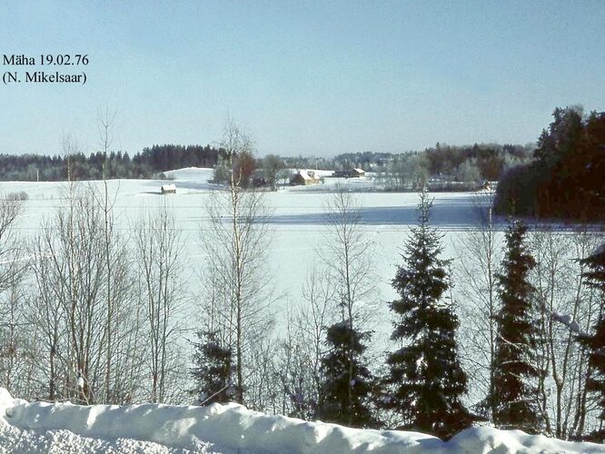 Maakond: Valgamaa Veekogu nimi: Mäha järv Pildistamise aeg: 19. veebruar 1976 Pildistaja: N. Mikelsaar Pildistamise koht: SW kaldalt talvel Asimuut: NE