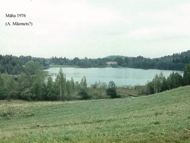 Maakond: Valgamaa Veekogu nimi: Mäha järv Pildistamise aeg: 1976 Pildistaja: A. Mäemets Pildistamise koht: teadmata Asimuut: