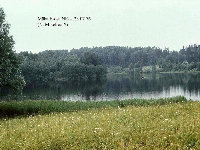 Maakond: Valgamaa Veekogu nimi: Mäha järv Pildistamise aeg: 23. juuli 1976 Pildistaja: N. Mikelsaar Pildistamise koht: E osa NE-st? Asimuut: