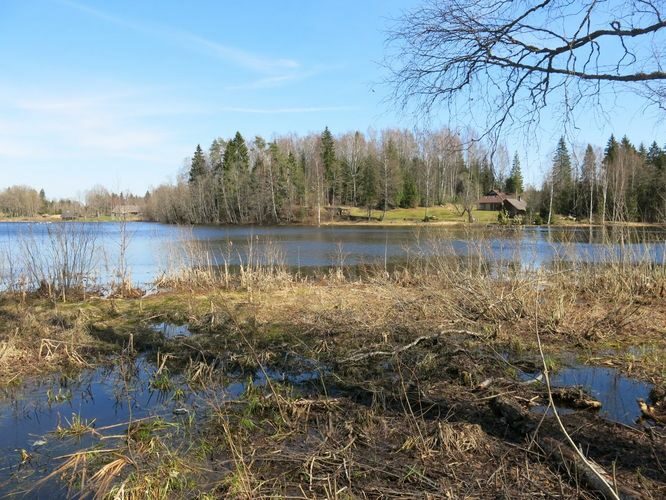 Maakond: Valgamaa Veekogu nimi: Mäha järv Pildistamise aeg: 2. mai 2013 Pildistaja: H. Timm Pildistamise koht: teadmata Asimuut: