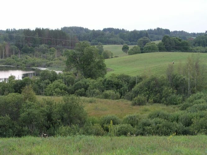 Maakond: Valgamaa Veekogu nimi: Mähkli järv Pildistamise aeg: august 2006 Pildistaja: H. Timm Pildistamise koht: teadmata Asimuut: