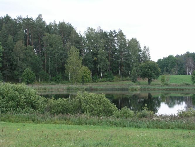 Maakond: Valgamaa Veekogu nimi: Mähkli järv Pildistamise aeg: august 2006 Pildistaja: H. Timm Pildistamise koht: teadmata Asimuut: