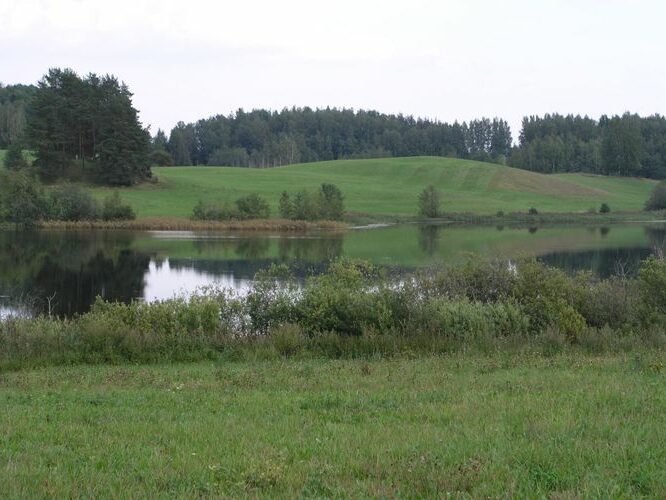 Maakond: Valgamaa Veekogu nimi: Mähkli järv Pildistamise aeg: august 2006 Pildistaja: H. Timm Pildistamise koht: teadmata Asimuut: