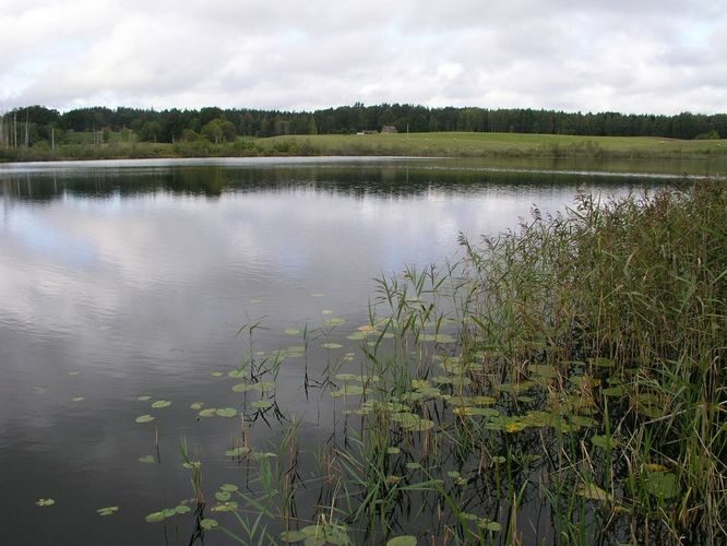 Maakond: Valgamaa Veekogu nimi: Mähkli järv Pildistamise aeg: august 2009 Pildistaja: H. Timm Pildistamise koht: teadmata Asimuut: