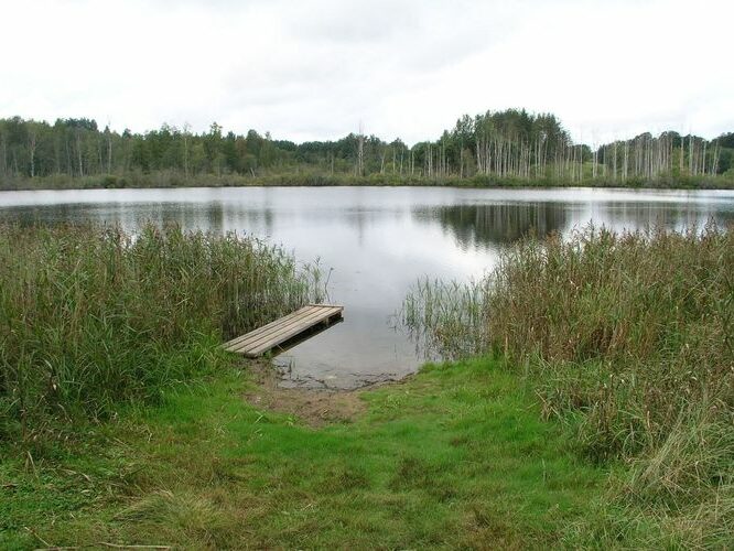 Maakond: Valgamaa Veekogu nimi: Mähkli järv Pildistamise aeg: august 2009 Pildistaja: H. Timm Pildistamise koht: teadmata Asimuut: