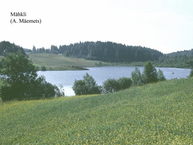 Maakond: Valgamaa Veekogu nimi: Mähkli järv Pildistamise aeg: teadmata Pildistaja: A. Mäemets Pildistamise koht: teadmata Asimuut: