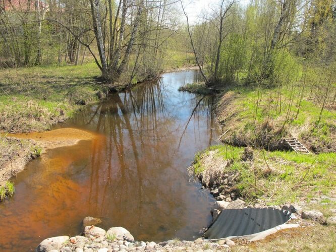 Maakond: Tartumaa Veekogu nimi: Mõra jõgi Pildistamise aeg: 5. mai 2011 Pildistaja: H. Timm Pildistamise koht: Sillaotsa Asimuut: