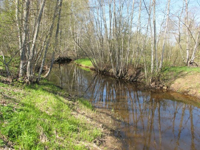 Maakond: Tartumaa Veekogu nimi: Mõra jõgi Pildistamise aeg: 5. mai 2011 Pildistaja: H. Timm Pildistamise koht: Sillaotsa Asimuut: