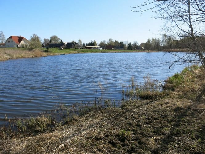 Maakond: Tartumaa Veekogu nimi: Mõra jõgi Pildistamise aeg: 24. aprill 2014 Pildistaja: H. Timm Pildistamise koht: Roiu paisjärv, ülemine osa Asimuut: