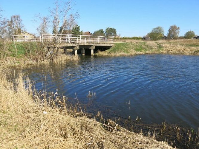 Maakond: Tartumaa Veekogu nimi: Mõra jõgi Pildistamise aeg: 24. aprill 2014 Pildistaja: H. Timm Pildistamise koht: Roiu paisjärv, keskosa Asimuut: