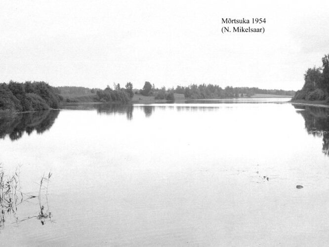 Maakond: Valgamaa Veekogu nimi: Mõrtsuka järv Pildistamise aeg: 1954 Pildistaja: N. Mikelsaar Pildistamise koht: teadmata Asimuut: